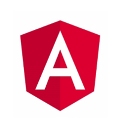 Angular JS